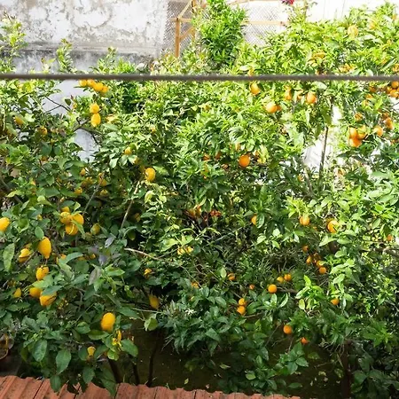 Apartment Eduardo Coelho - Sunny In Principle Real