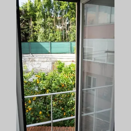 Eduardo Coelho - Sunny In Principle Real Apartment Lissabon